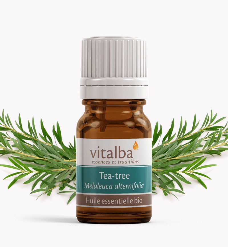 Huile Essentielle Tea Tree Melaleuca Biologique