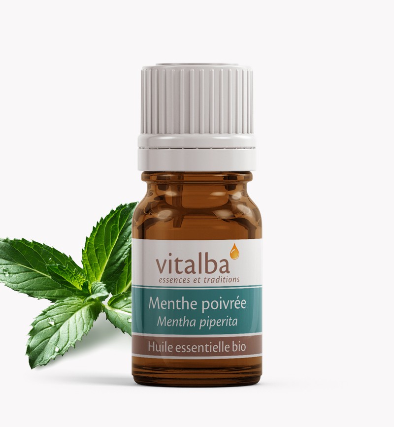 Huile Essentielle de Menthe Poivrée Bio - Mentha Piperita