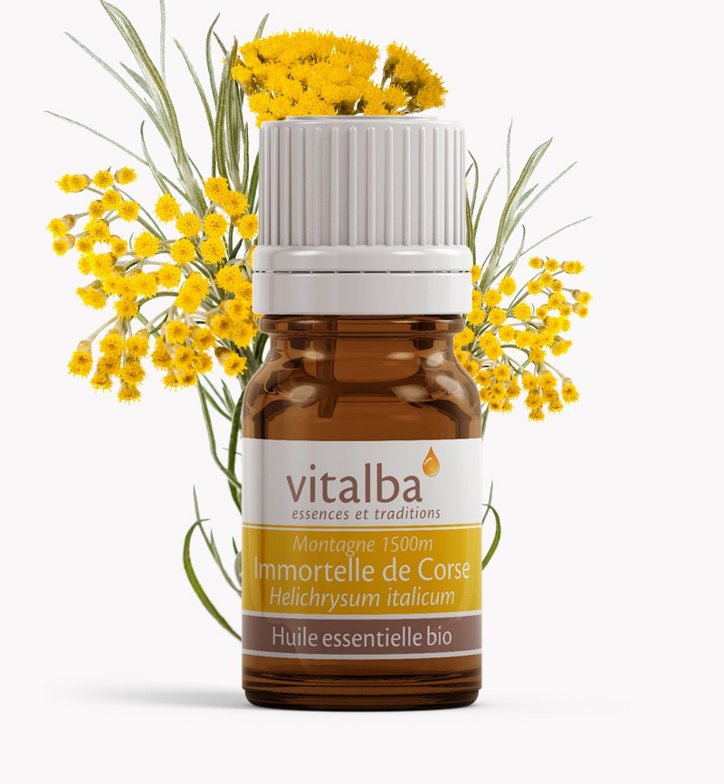 Huile essentielle d'Immortelle de montagne (1500 m) Bio