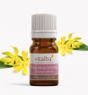 Huile essentielle d'Ylang ylang bio