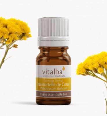 Huile essentielle d'Immortelle de Corse sauvage (littoral) Bio