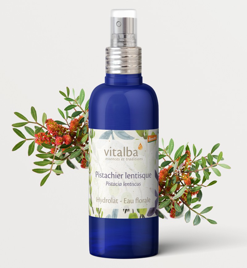 Hydrolat de Pistachier lentisque Bio Hydrolat de Pistachier lentisque Bio